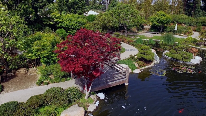 Japanese Garden