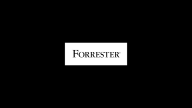 Vendor Selection Forrester