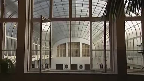 Miniatura para Caja Postal de Ahorros de Viena, Otto Wagner