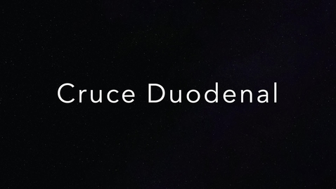 Miniatura para OBESIDAD 5:  CRUCE DUODENAL