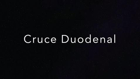 Miniatura para la entrada OBESIDAD 5:  CRUCE DUODENAL