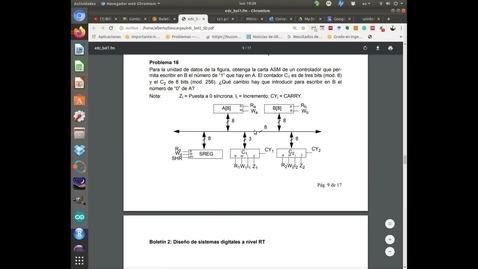 Miniatura para la entrada p16