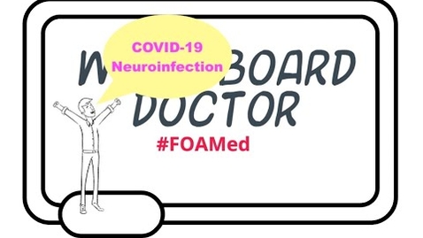 Thumbnail for COVID-19 Neuroinfection, Theories as to SARS-CoV-2 and the Possibility of Brain Involvement.