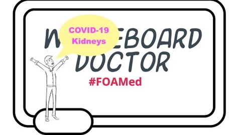Thumbnail for COVID-19 and the Kidney, Why Are We Seeing So Much Kidney Involvement?