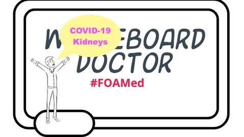 Thumbnail for entry COVID-19 and the Kidney, Why Are We Seeing So Much Kidney Involvement?