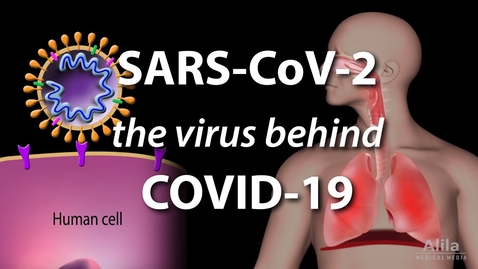 Thumbnail for entry Understanding the Virus that Causes COVID-19, Animation