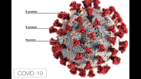 Thumbnail for COVID-19: Yale Physicians Discuss the Coronavirus