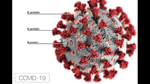 Thumbnail for entry COVID-19: Yale Physicians Discuss the Coronavirus