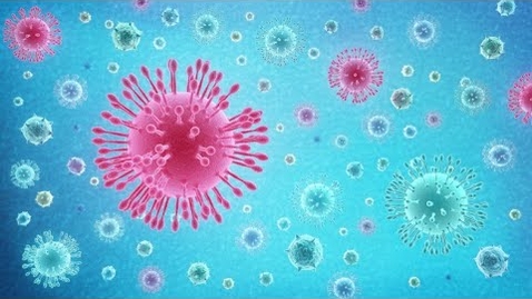 Thumbnail for What Is Coronavirus (COVID-19)?