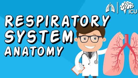 Thumbnail for entry The Respiratory System CRASH COURSE