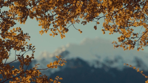 Thumbnail for LES MILLS MINDFULNESS Body Scan 1