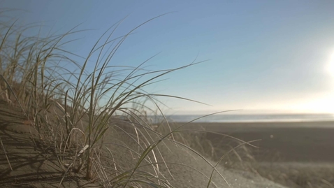 Thumbnail for LES MILLS MINDFULNESS Noting Thoughts