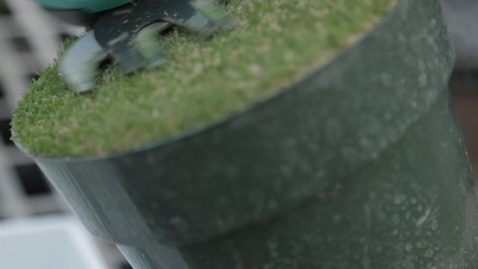 Thumbnail for Faculty Conversations:  Dr. Yanqi Wu