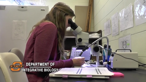 Thumbnail for Department of Integrative Biology