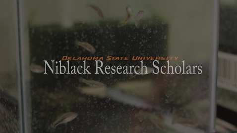 Thumbnail for entry Cierra Keith - Niblack Research Scholars 2013-14