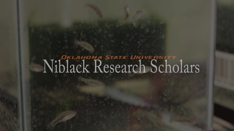 Thumbnail for Cierra Keith - Niblack Research Scholars 2013-14