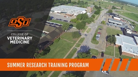 Thumbnail for Summer Research Training Program: Expanding the Knowledge Base