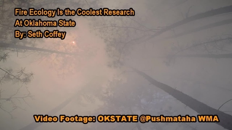 Thumbnail for entry USER GENERATED:  The coolest research currently at OSU is Fire Ecology