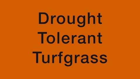 Thumbnail for entry We are Oklahoma: Drought Tolerant Turfgrass Project