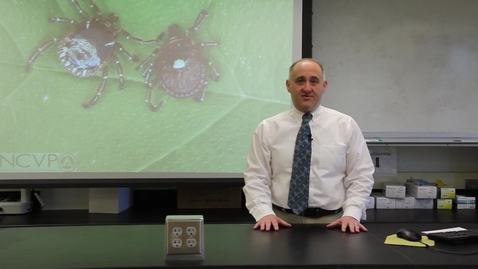 Thumbnail for Dr Reichard on NCVP Research Grants