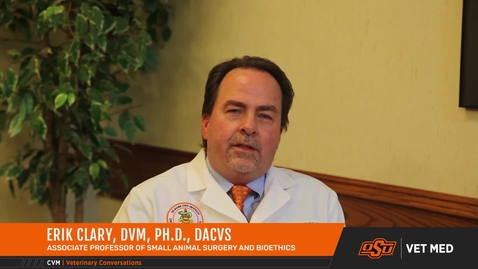 Thumbnail for Vet Med Faces of Research: Dr. Erik Clary