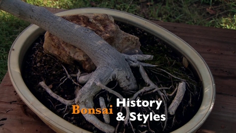 Thumbnail for entry Oklahoma Gardening: Bonsai History &amp; Styles