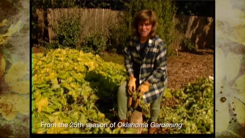 Thumbnail for entry Dog-Proof Gardening