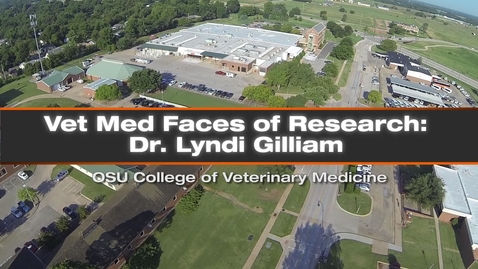 Thumbnail for entry Vet Med Faces of Research: Dr. Lyndi Gilliam
