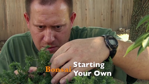Thumbnail for entry Oklahoma Gardening: Starting Your Own Bonsai