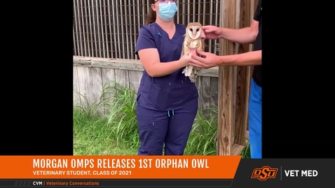 Thumbnail for entry Setting 5 Orphan Barn Owls Free