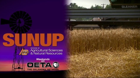 Thumbnail for SUNUP: NW Oklahoma Wildfire Recovery