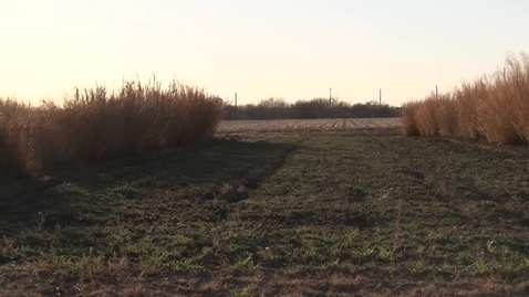 Thumbnail for RESEARCH WEEK:  &quot;Growing&quot; Ethanol at OSU