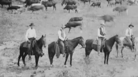 Thumbnail for Helping Food Companies Expand into New Markets and Processes