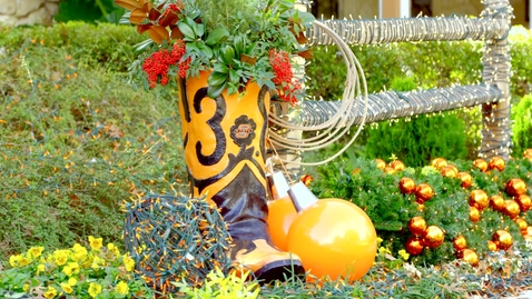 Thumbnail for Happy Holidays from Oklahoma State University