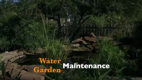 Thumbnail for entry Oklahoma Gardening: Water Garden Maintenance