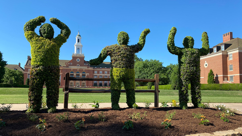 Thumbnail for New OSU Topiary Installed