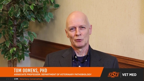 Thumbnail for entry Vet Med Faces of Research: Dr. Tom Oomens