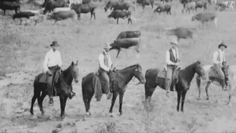 Thumbnail for Exploring Uses and Quality of Cereal Grains and Oilseeds