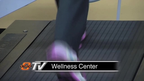 Thumbnail for RESEARCH WEEK 2014:  Why Women Exercise