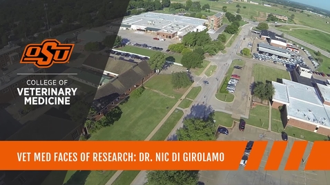 Thumbnail for Vet Med Faces of Research: Dr. Nicola Di Girolamo