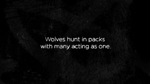 Thumbnail for OSU Student Earns Adobe Honors For Animation &quot;How Wolves Hunt&quot;