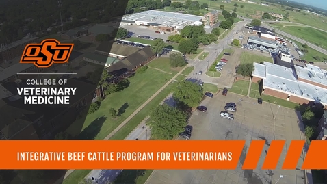 Thumbnail for entry Integrative Beef Cattle Program for Veterinarians