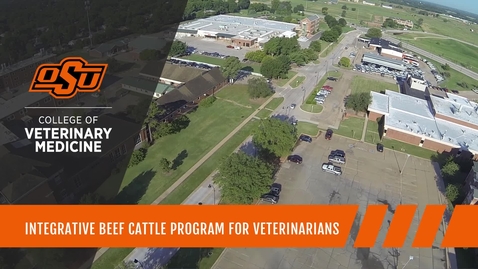 Thumbnail for Integrative Beef Cattle Program for Veterinarians