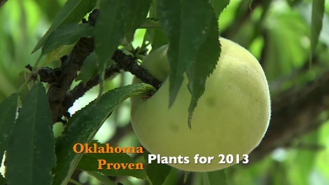 Thumbnail for entry 2013 Oklahoma Proven Collectors Choice