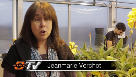 Thumbnail for entry Faculty Experts: Dr. Jeanmarie Verchot