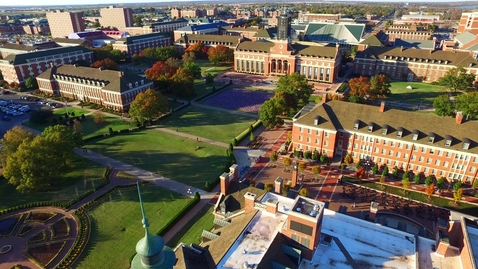 Thumbnail for Veterans Day Flags on Library Lawn