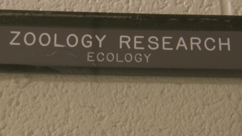 Thumbnail for OSU Researchers Discover 700-Year-Old Water Flea Eggs