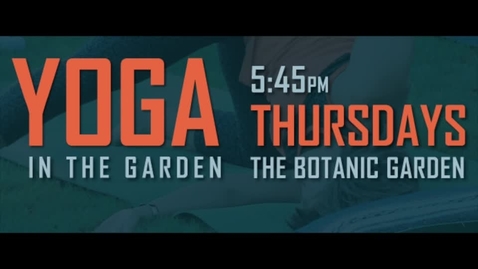 Thumbnail for entry Yoga in the Garden