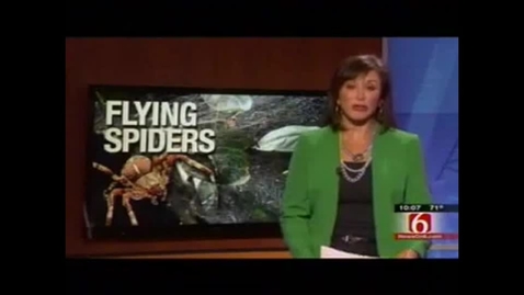 Thumbnail for entry IN THE NEWS:  Explaining the &quot;Flying Spiders&quot;
