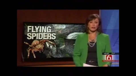 Thumbnail for IN THE NEWS:  Explaining the &quot;Flying Spiders&quot;